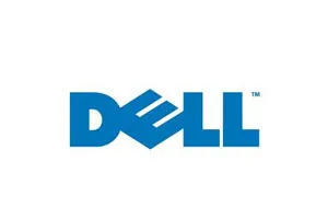 Dell_300
